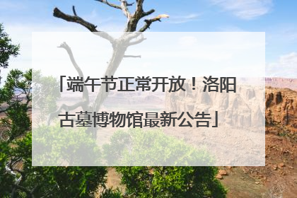 端午节正常开放！洛阳古墓博物馆最新公告