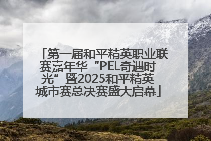 第一届和平精英职业联赛嘉年华“PEL奇遇时光”暨2025和平精英城市赛总决赛盛大启幕