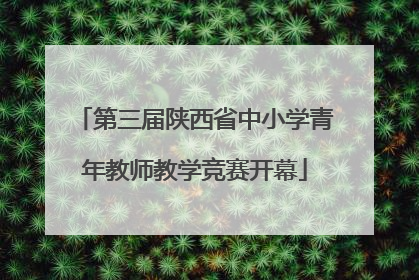 第三届陕西省中小学青年教师教学竞赛开幕