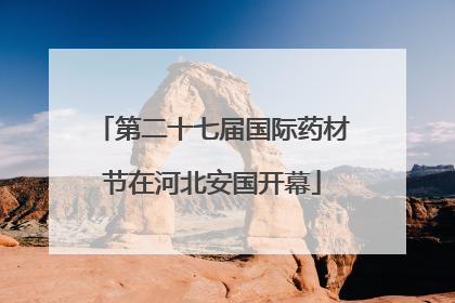 第二十七届国际药材节在河北安国开幕