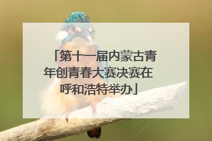 第十一届内蒙古青年创青春大赛决赛在呼和浩特举办