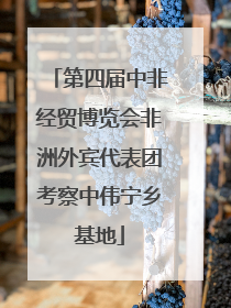 第四届中非经贸博览会非洲外宾代表团考察中伟宁乡基地