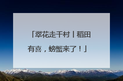 翠花走千村丨稻田有喜，螃蟹来了！