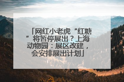 网红小老虎“红糖”将暂停展出？上海动物园：展区改建，会安排展出计划