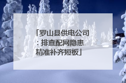 罗山县供电公司：排查配网隐患 精准补齐短板