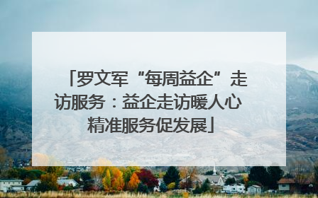 罗文军“每周益企”走访服务：益企走访暖人心 精准服务促发展