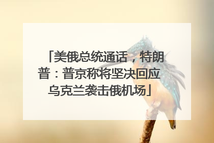 美俄总统通话，特朗普：普京称将坚决回应乌克兰袭击俄机场