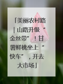 美丽农村路｜山路升级“金丝带”！甘薯鲜桃坐上“快车”，开去大市场