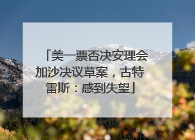 美一票否决安理会加沙决议草案，古特雷斯：感到失望