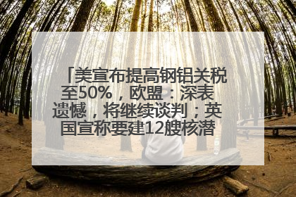 美宣布提高钢铝关税至50%，欧盟：深表遗憾，将继续谈判；英国宣称要建12艘核潜艇；马斯克最新发声：不想为美政府所做的一切承担责任丨早报