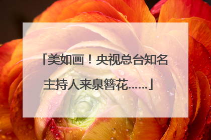 美如画！央视总台知名主持人来泉簪花……