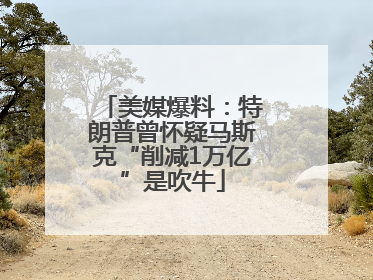 美媒爆料：特朗普曾怀疑马斯克“削减1万亿”是吹牛