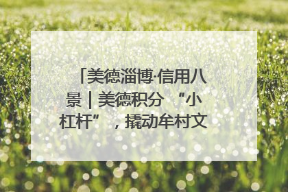 美德淄博·信用八景｜美德积分 “小杠杆”，撬动牟村文明 “大能量”