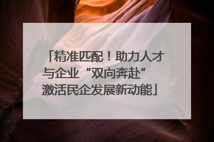 精准匹配！助力人才与企业“双向奔赴” 激活民企发展新动能