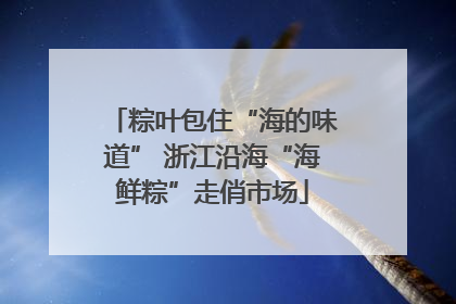 粽叶包住“海的味道” 浙江沿海“海鲜粽”走俏市场