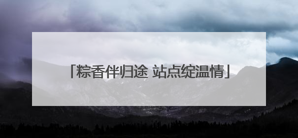 粽香伴归途 站点绽温情