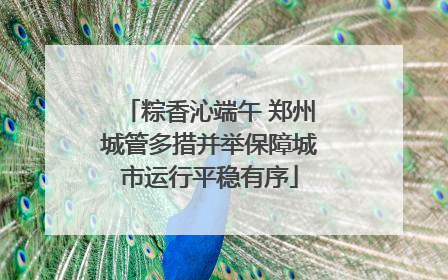 粽香沁端午 郑州城管多措并举保障城市运行平稳有序