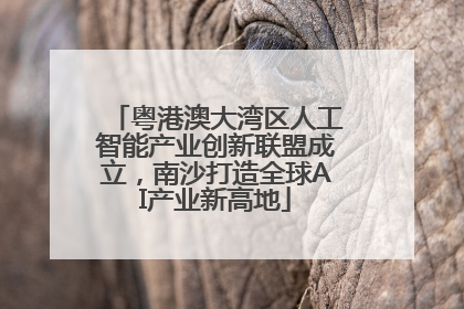 粤港澳大湾区人工智能产业创新联盟成立，南沙打造全球AI产业新高地