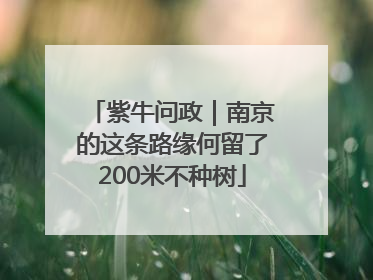 紫牛问政｜南京的这条路缘何留了200米不种树