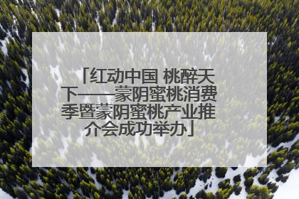 红动中国 桃醉天下——蒙阴蜜桃消费季暨蒙阴蜜桃产业推介会成功举办