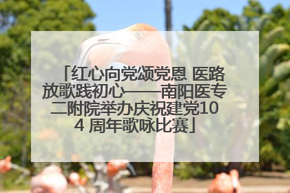 红心向党颂党恩 医路放歌践初心——南阳医专二附院举办庆祝建党104 周年歌咏比赛