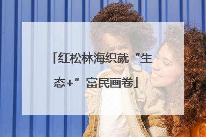 红松林海织就“生态+”富民画卷