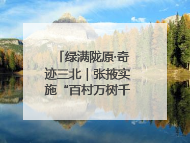 绿满陇原·奇迹三北｜张掖实施“百村万树千里林”工程