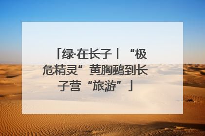 绿·在长子丨“极危精灵”黄胸鹀到长子营“旅游”