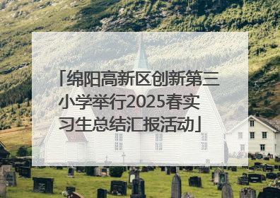 绵阳高新区创新第三小学举行2025春实习生总结汇报活动