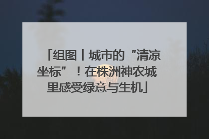 组图丨城市的“清凉坐标”！在株洲神农城里感受绿意与生机