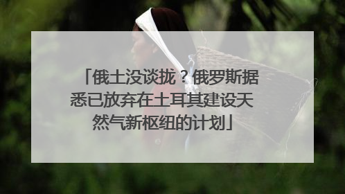 俄土没谈拢？俄罗斯据悉已放弃在土耳其建设天然气新枢纽的计划