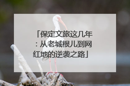 保定文旅这几年：从老城根儿到网红地的逆袭之路