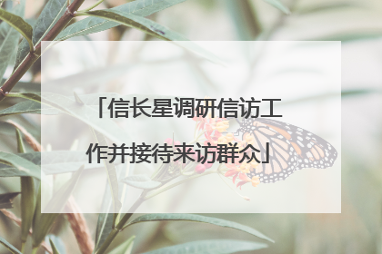 信长星调研信访工作并接待来访群众