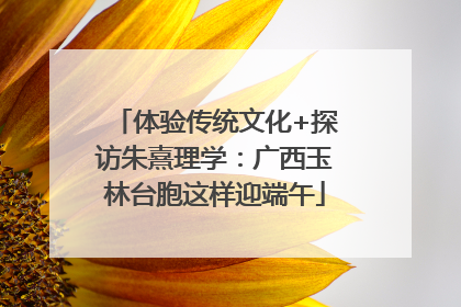 体验传统文化+探访朱熹理学：广西玉林台胞这样迎端午