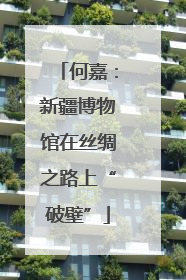 何嘉：新疆博物馆在丝绸之路上“破壁”