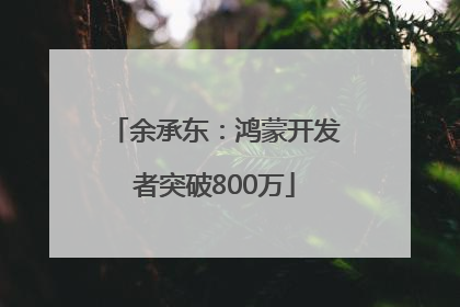 余承东：鸿蒙开发者突破800万