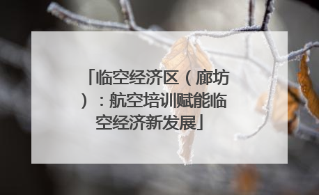 临空经济区（廊坊）：航空培训赋能临空经济新发展