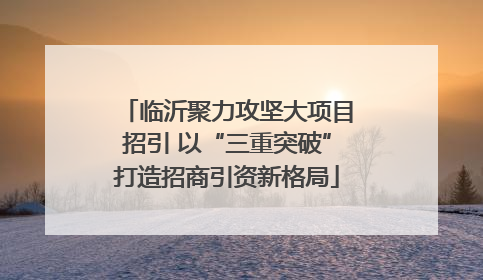 临沂聚力攻坚大项目招引 以“三重突破”打造招商引资新格局