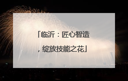 临沂：匠心智造，绽放技能之花
