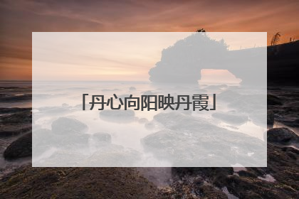 丹心向阳映丹霞