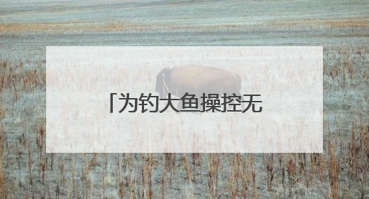 为钓大鱼操控无人艇进保护区！洞庭湖禁捕区怎么成了“垂钓场”？