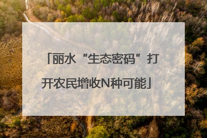 丽水“生态密码”打开农民增收N种可能