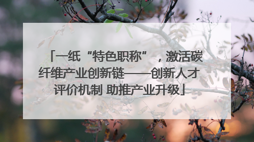 一纸“特色职称”，激活碳纤维产业创新链——创新人才评价机制 助推产业升级
