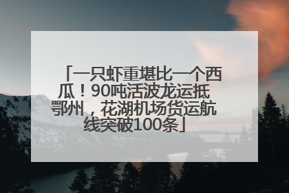 一只虾重堪比一个西瓜！90吨活波龙运抵鄂州，花湖机场货运航线突破100条