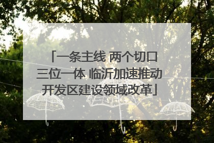 一条主线 两个切口 三位一体 临沂加速推动开发区建设领域改革