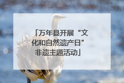 万年县开展“文化和自然遗产日”非遗主题活动