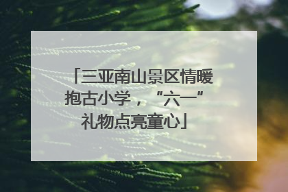三亚南山景区情暖抱古小学，“六一”礼物点亮童心