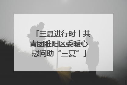 三夏进行时丨共青团睢阳区委暖心慰问助“三夏”