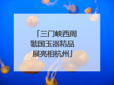 三门峡西周虢国玉器精品展亮相杭州