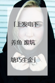 上发电下养鱼 废坑塘巧生金